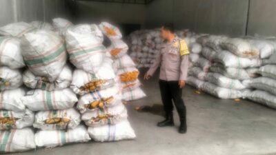 Sinergi Polri dan Bulog Jamin Harga Jual Jagung Petani Lombok Barat