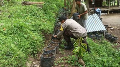 Membangun Ketahanan Pangan dari Pekarangan Rumah, Kisah Inspiratif dari Desa Batulayar (1)