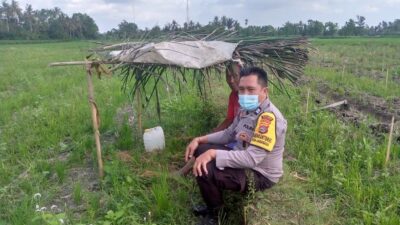 Sinergi Polri dan Petani di Dusun Tambang Eleh, Lombok Barat Wujudkan Desa Mandiri Pangan