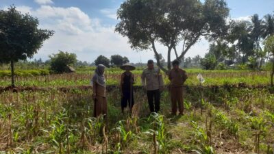 Bhabinkamtibmas, PPL, Desa Gelogor, Kediri Lombok Barat, ketahanan pangan