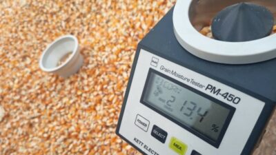 Polsek Sekotong Kawal Survei Jagung, Temukan Masalah Distribusi di Desa Kedaro