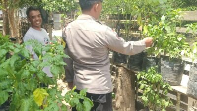 Sinergi Polri dan Masyarakat Sekotong Perkuat Ketahanan Pangan dan Kamtibmas