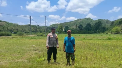 Bhabinkamtibmas Jadi Motor Ketahanan Pangan di Sekotong Barat