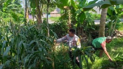 Sinergi Polri dan Petani di Lombok Barat Perkuat Kemandirian Pangan